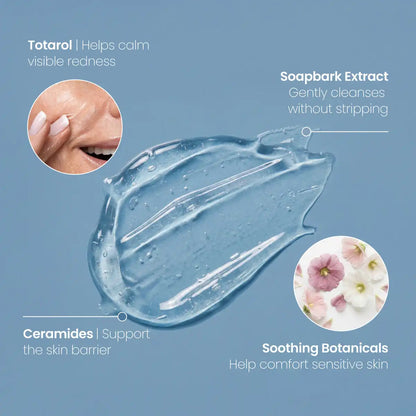 Gentle Gel Cleanser